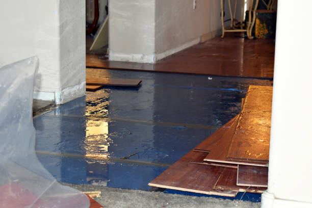 Professional Burst Pipe Water Damage technician working in Bend, OR